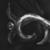 ��l