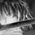 �������g